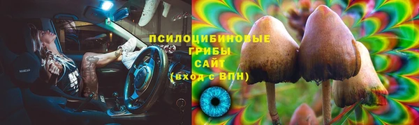 ГАЛЛЮЦИНОГЕННЫЕ ГРИБЫ Белокуриха